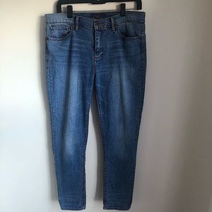 Lucky Brand Brook Skinny Denim Blue Jeans - Size 12